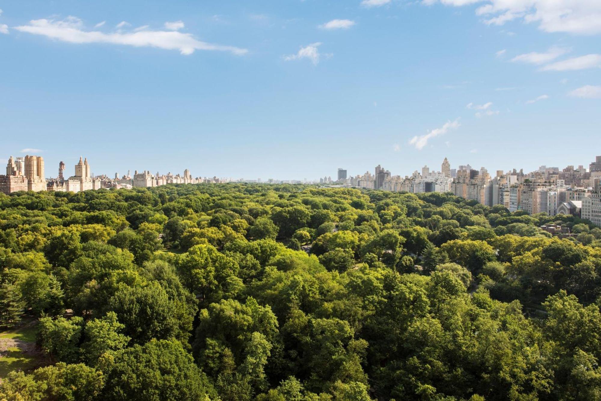The Ritz-Carlton New York, Central Park Εξωτερικό φωτογραφία